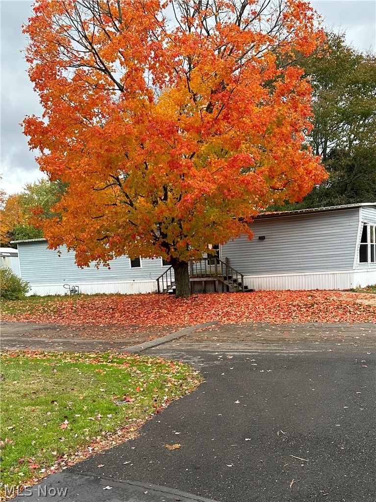 7443 Spillway Road Lisbon, OH 44432 - Photo 4 of 19 View of yard