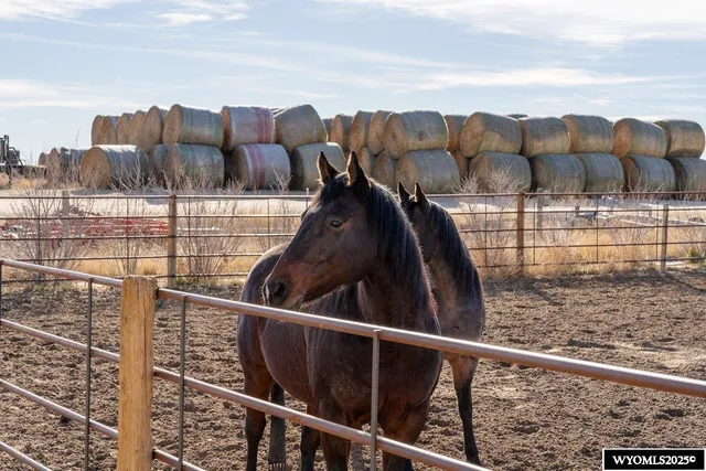 $2,900,000 | 690 Highway 26, Wheatland, WY 82201