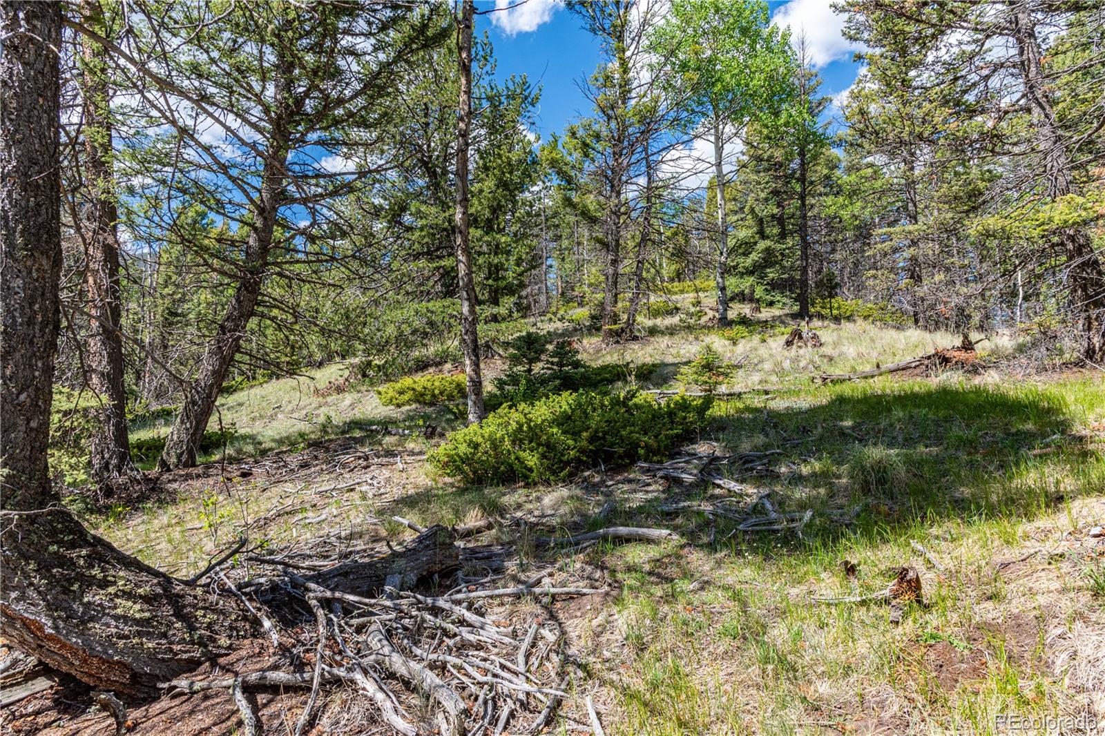 298 Steven Road Canon City, CO 81212 - Photo 19 of 35