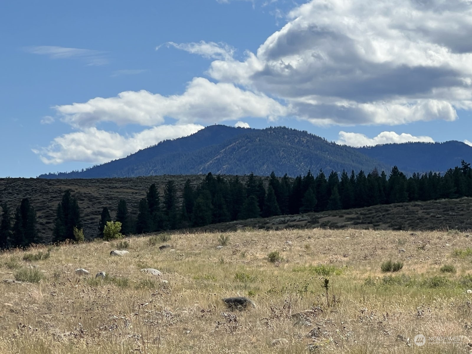 71 A Signal Hill Road Twisp, WA 98856 - Photo 25 of 26 Gallery Image 25