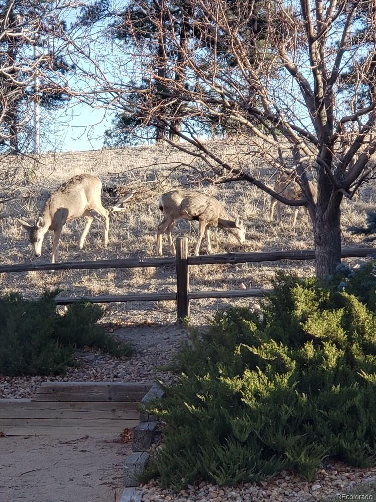 11044 Callaway Road Parker, CO 80138 - Photo 28 of 28 Gallery Image 28