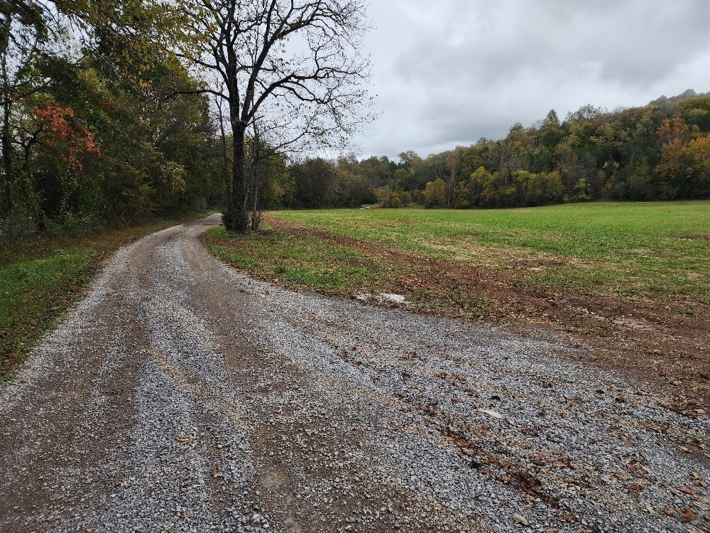 0 Sweetwater Road Liberty, TN 37095 - Photo 6 of 16 a view of a field with trees in the background
