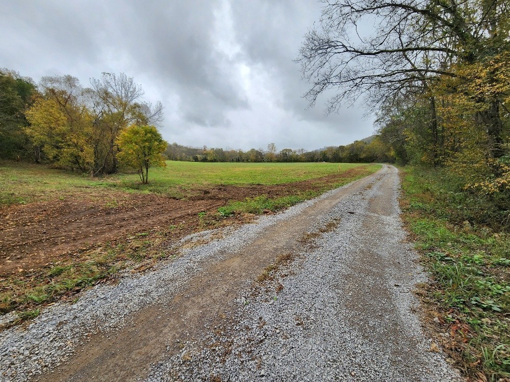 0 Sweetwater Road Liberty, TN 37095 - Photo 7 of 16 a view of a dirt yard