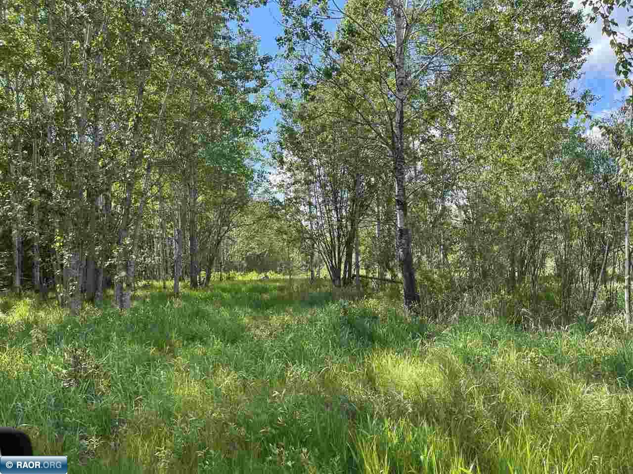 6676 Taylor Road Embarrass, MN 55732 - Photo 13 of 17