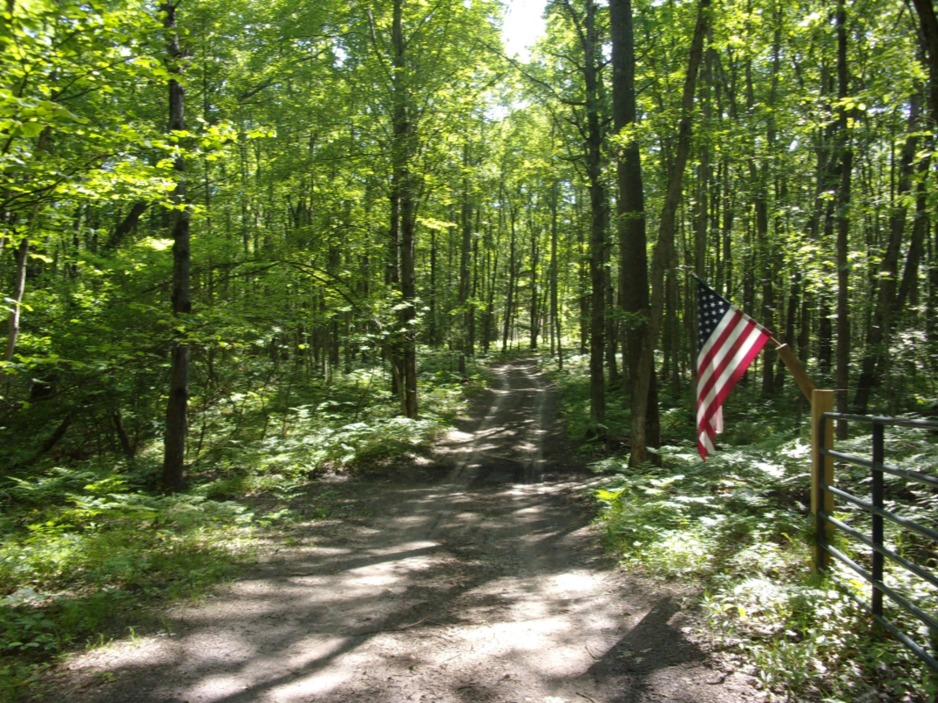3273 Seaman Road Wellston, MI 49689 - Photo 15 of 52 100_0434