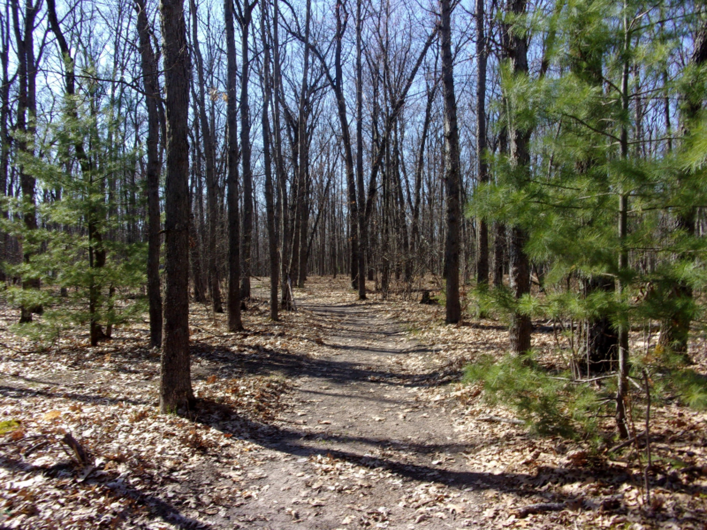 3273 Seaman Road Wellston, MI 49689 - Photo 24 of 52 100_0170