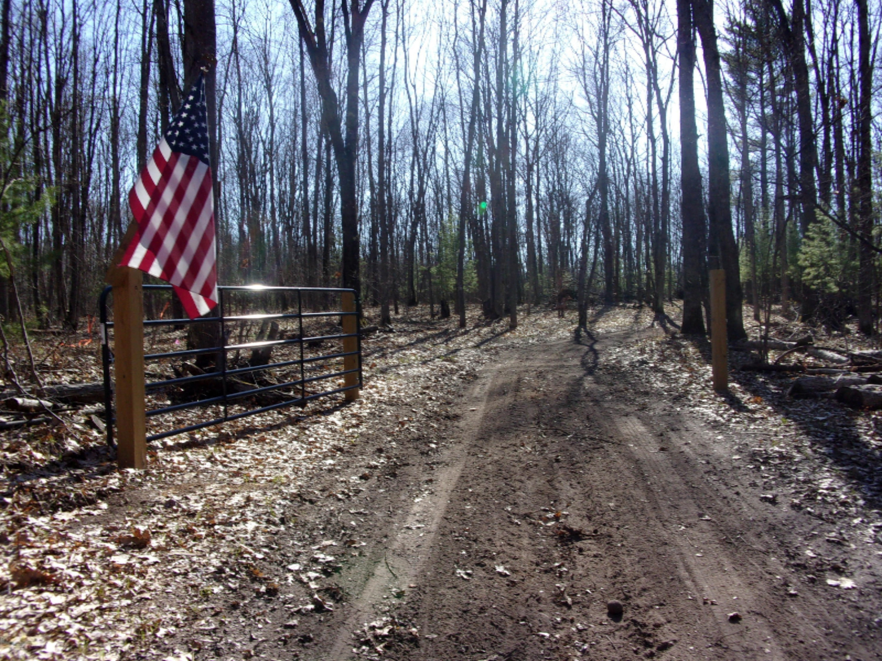 3273 Seaman Road Wellston, MI 49689 - Photo 26 of 52 100_0173