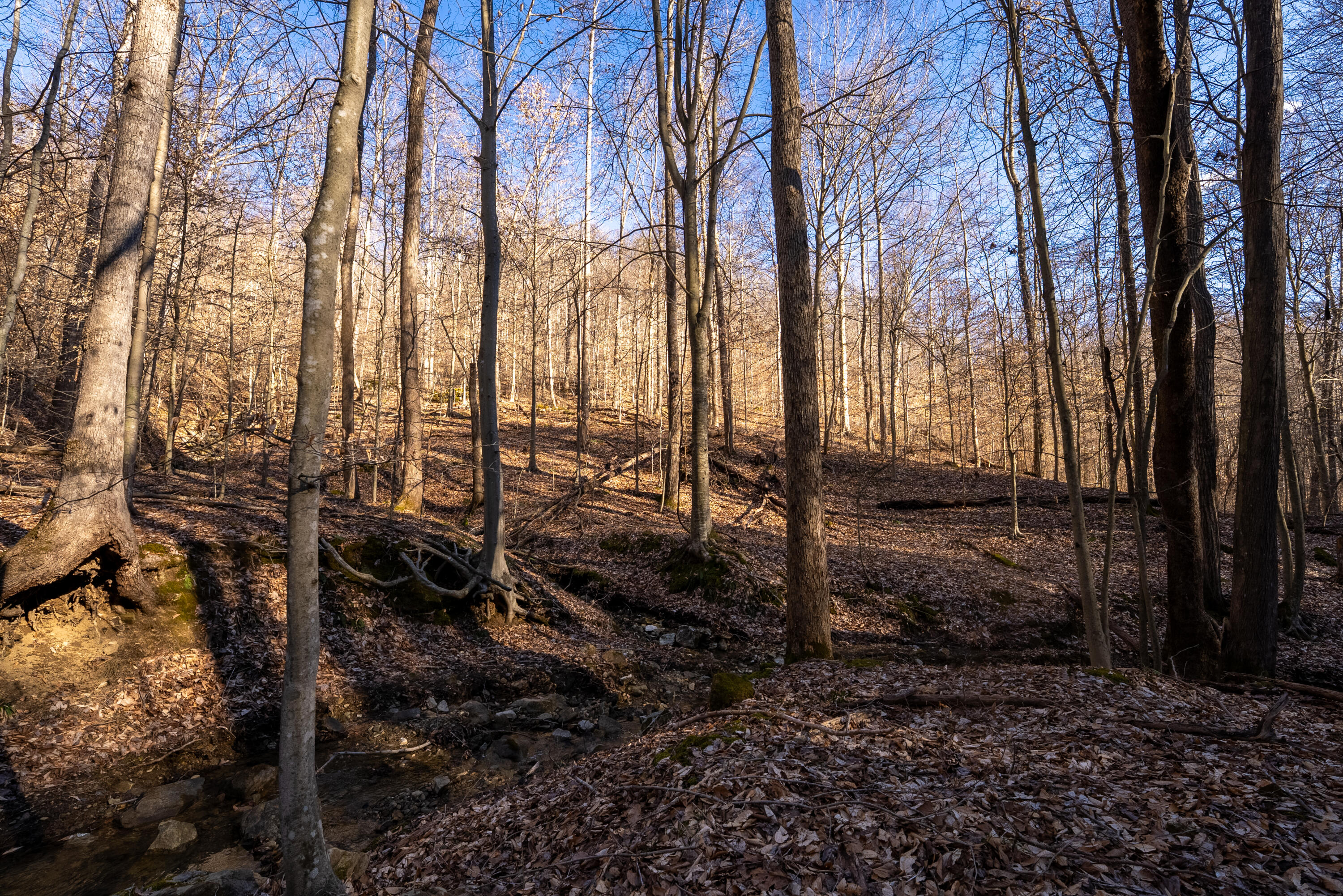 9999 North Bend Road Stanton, KY 40380 - Photo 23 of 84 023