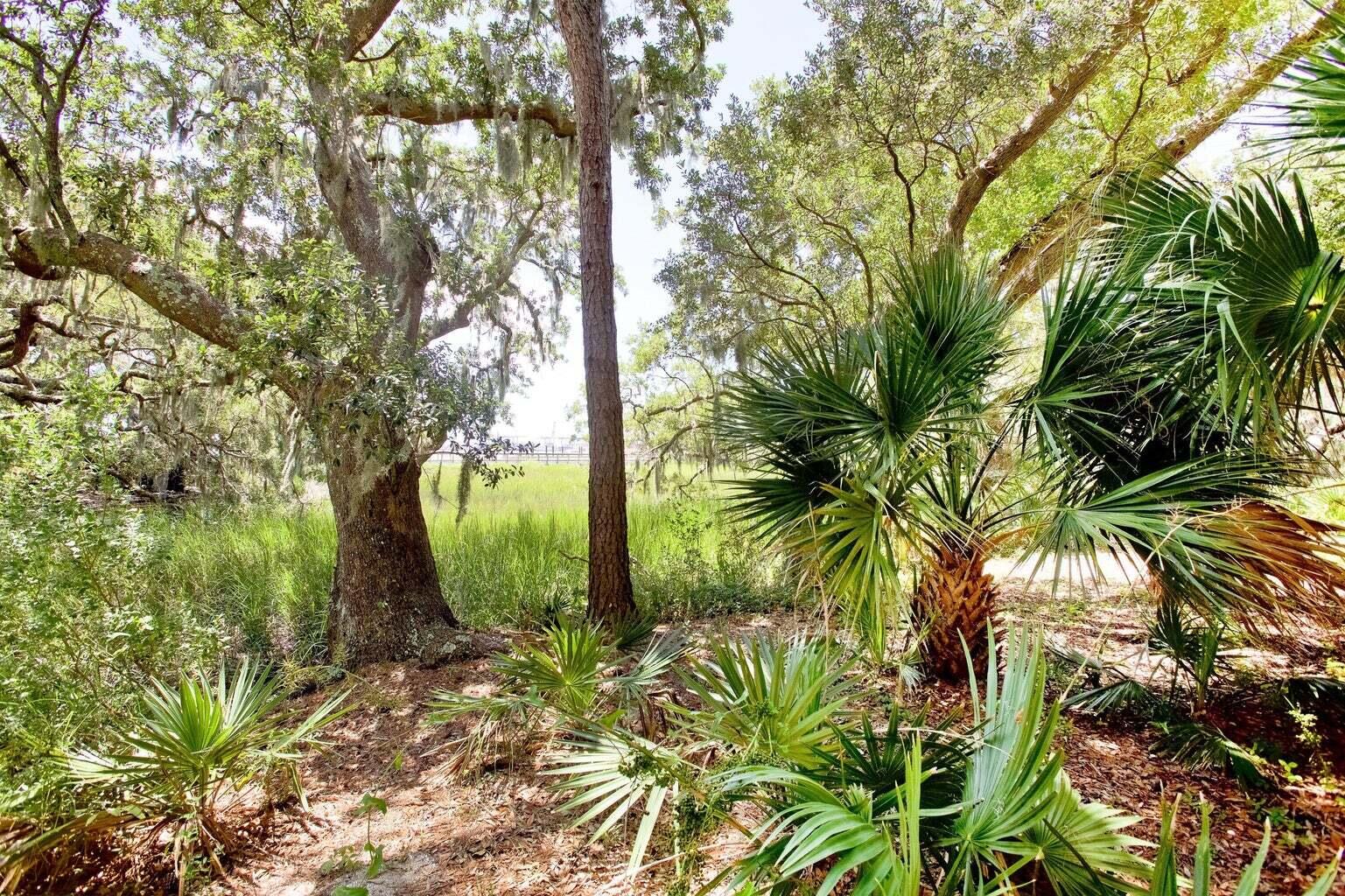 130 River Landing Drive, Unit 7220 Daniel Island, SC 29492 - Photo 19 of 21 Trails along river