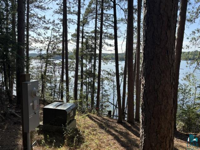 3506 Hanson Lk Road Ely, MN 55731 - Photo 7 of 26