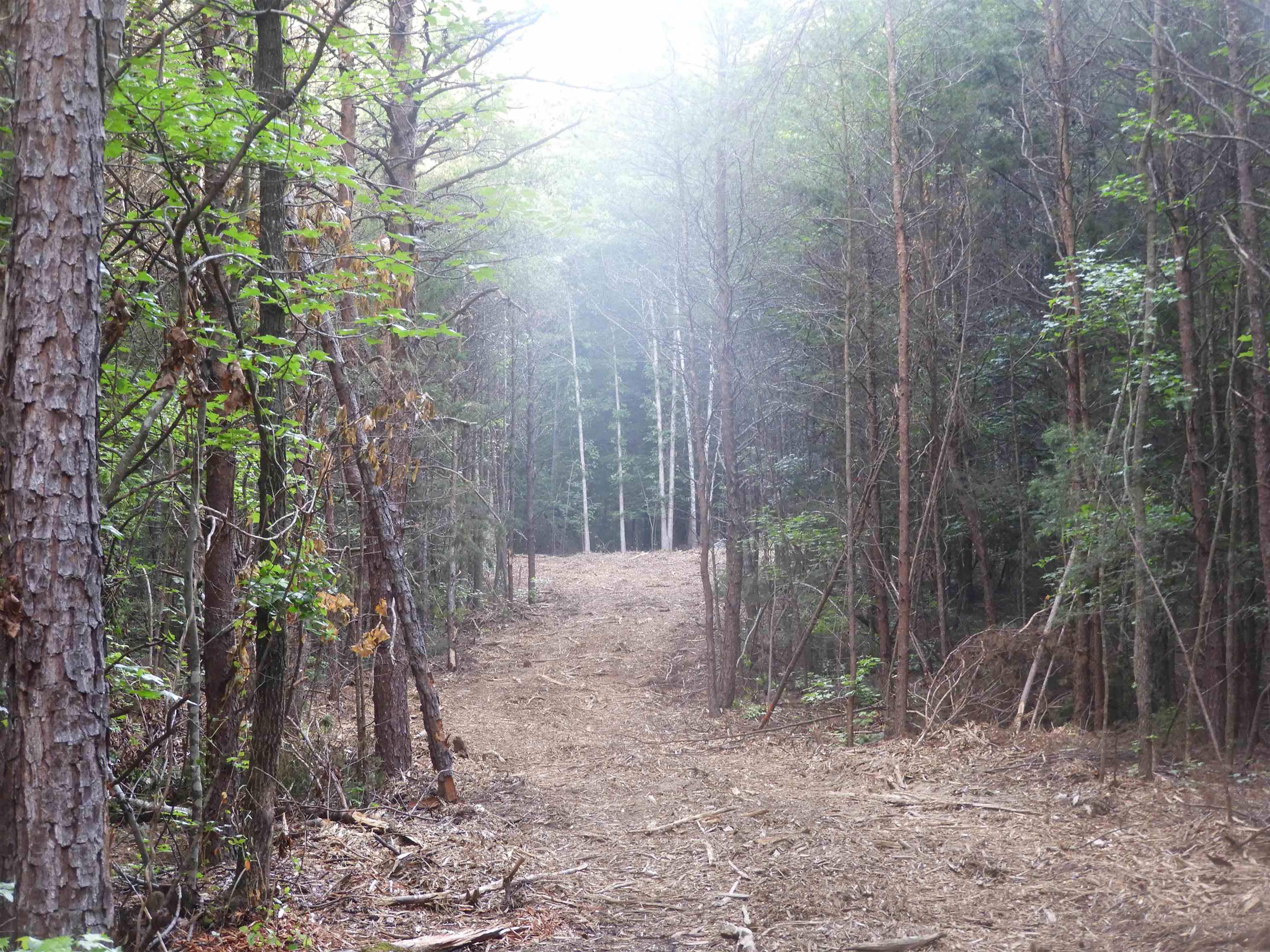 2109-tract D 2109-tract D Riddle Road Pauline, SC 29374 - Photo 39 of 42