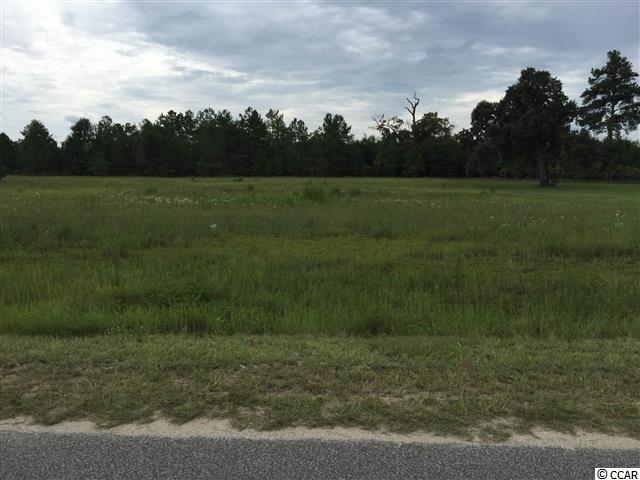 Lot 33 Lake Swamp Road Nichols, SC 29581 - Photo 1 of 4 Gallery Image 1