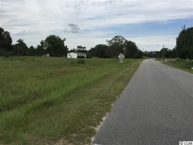 Lot 33 Lake Swamp Road Nichols, SC 29581 - Photo 3 of 4 Gallery Image 3