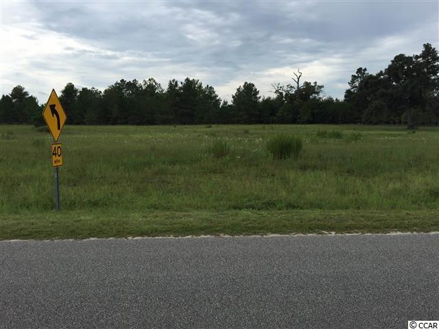 Lot 33 Lake Swamp Road Nichols, SC 29581 - Photo 4 of 4 Gallery Image 4