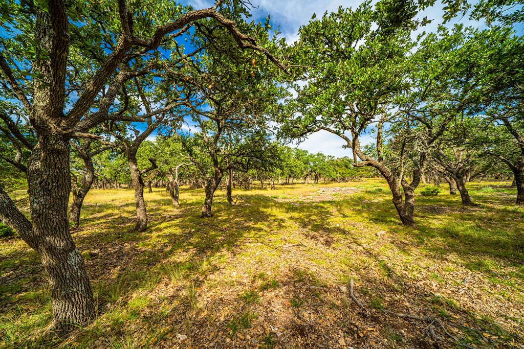 Lot 7 Reservation Road, Unit 7 Harper, TX 78631 - Photo 2 of 5 Gallery Image 2