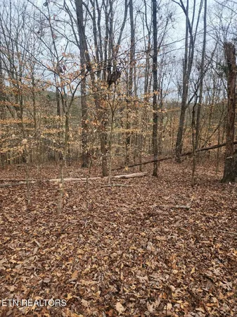 $99,900 | Ten Mile Tn 37880 Road, Ten Mile, TN 37880