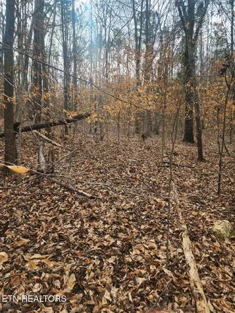 $99,900 | Ten Mile Tn 37880 Road, Ten Mile, TN 37880