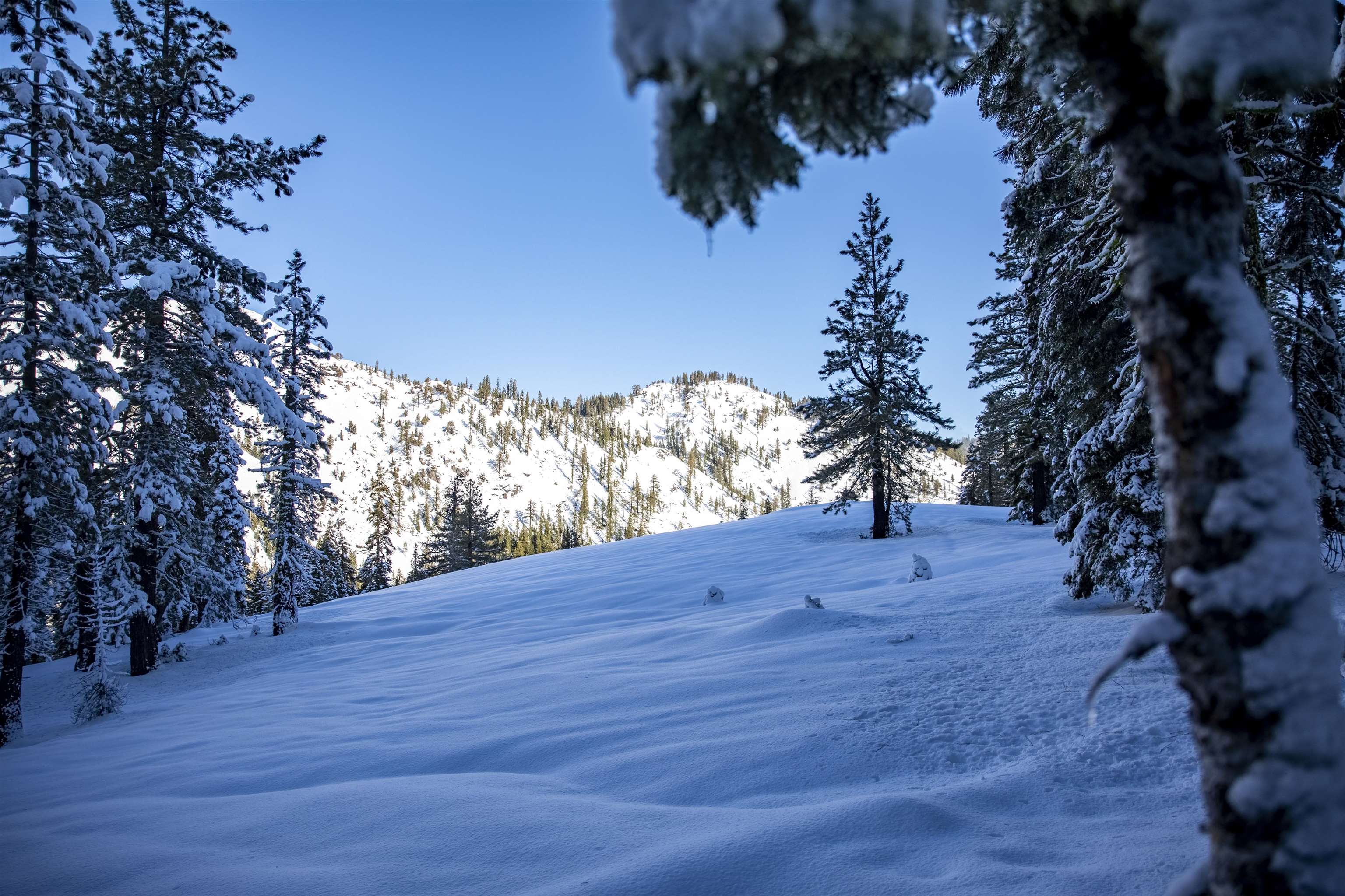 Xxxxx Alpine Meadows Road Olympic Valley, CA 96146 - Photo 19 of 20