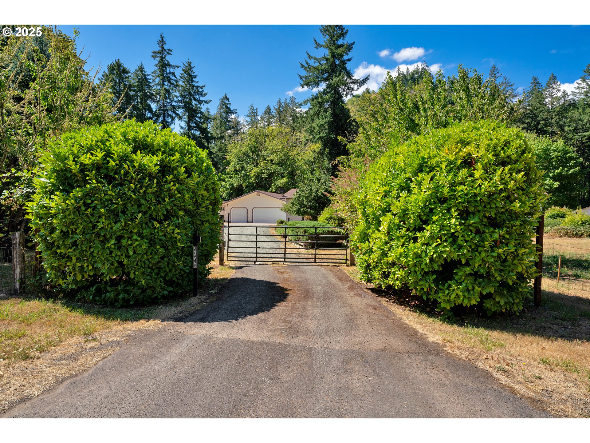 37444 Row River Road Dorena, OR 97434 - Photo 4 of 47 Gallery Image 4