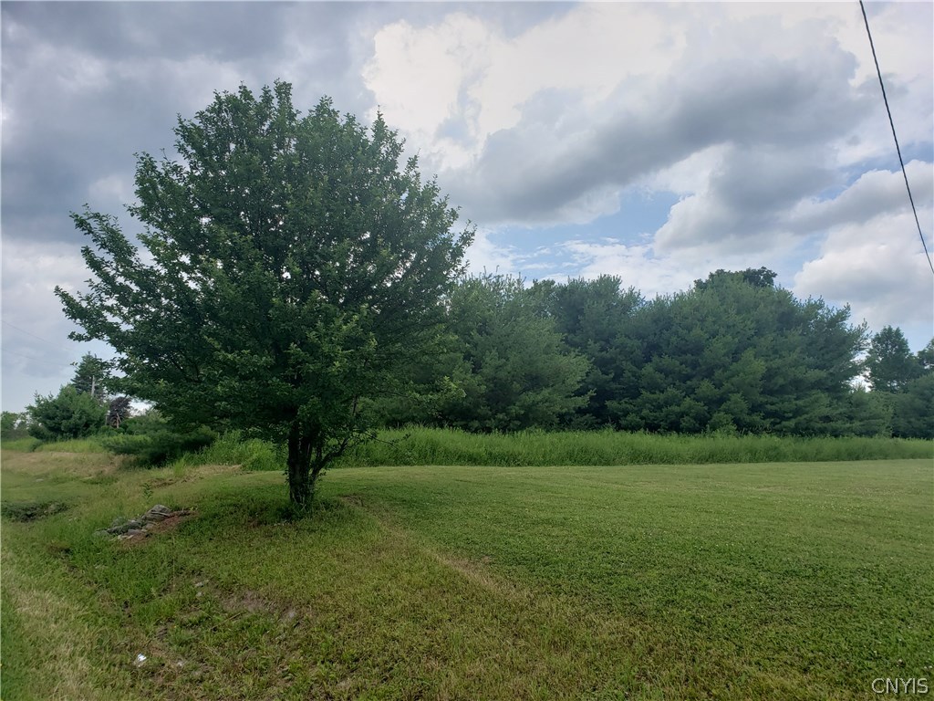 0 Oxbow Road Canastota, NY 13032 - Photo 2 of 3 Gallery Image 2
