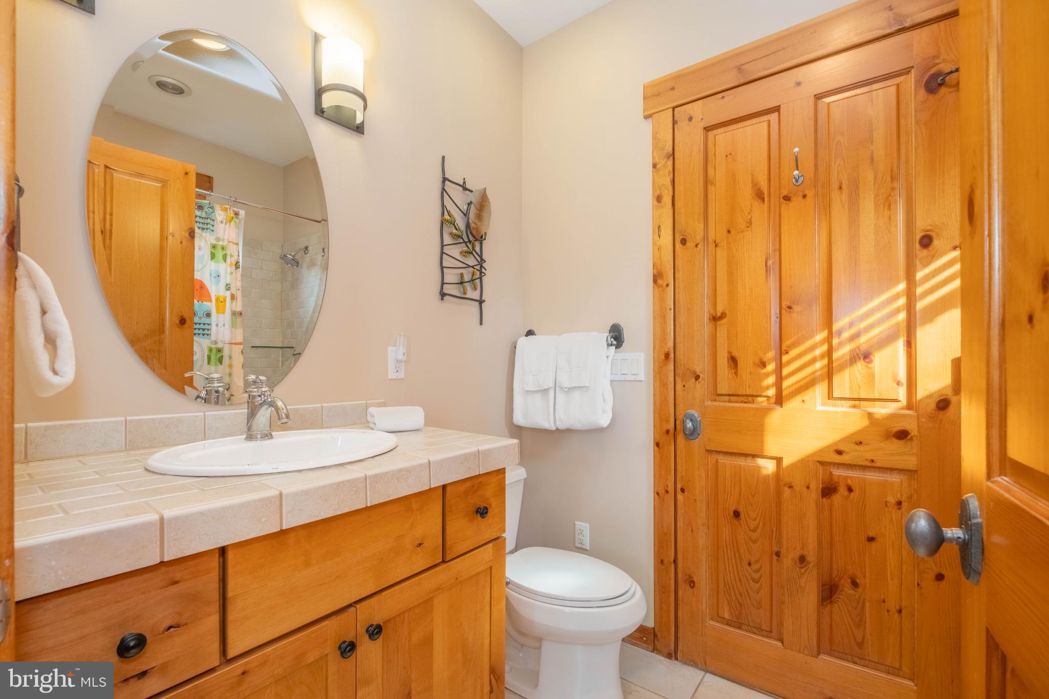 14 Ridge Run Road McHenry, MD 21541 - Photo 39 of 65 a bathroom with a sink a toilet and shower curtain