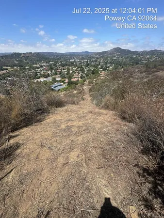 a view of a dry yard