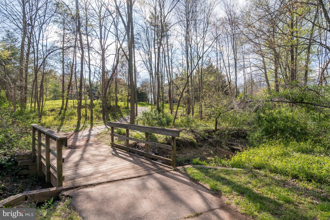 12907 Hedgetop Drive Herndon, VA 20171 - Photo 58 of 60 Lots of nature to explore
