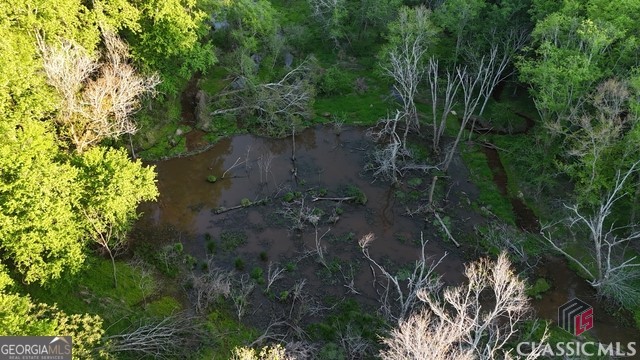0 Moore Road Elberton, GA 30635 - Photo 9 of 67