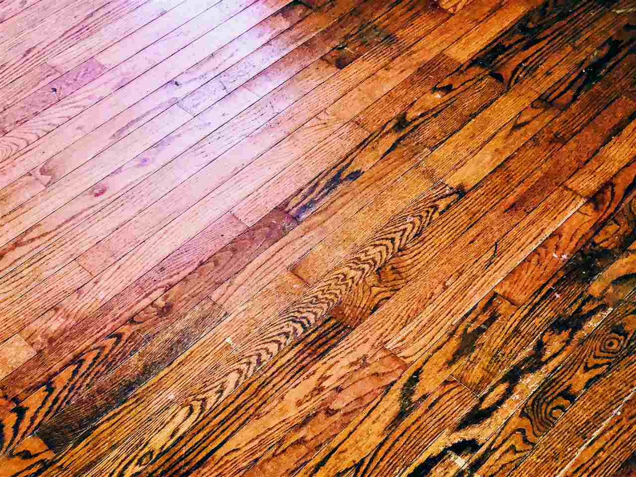 1407 East Rouse Avenue Peoria, IL 61603 - Photo 20 of 24 Gallery Image 20