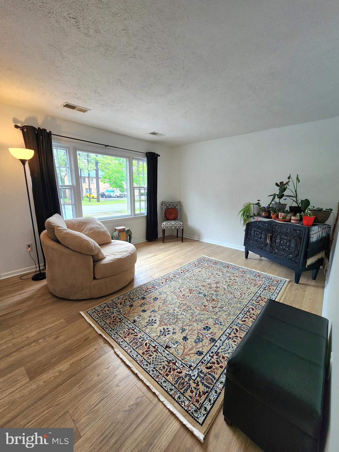 243 Brunswick Road Stephens City, VA 22655 - Photo 3 of 24 12x16 Living room with new LVP