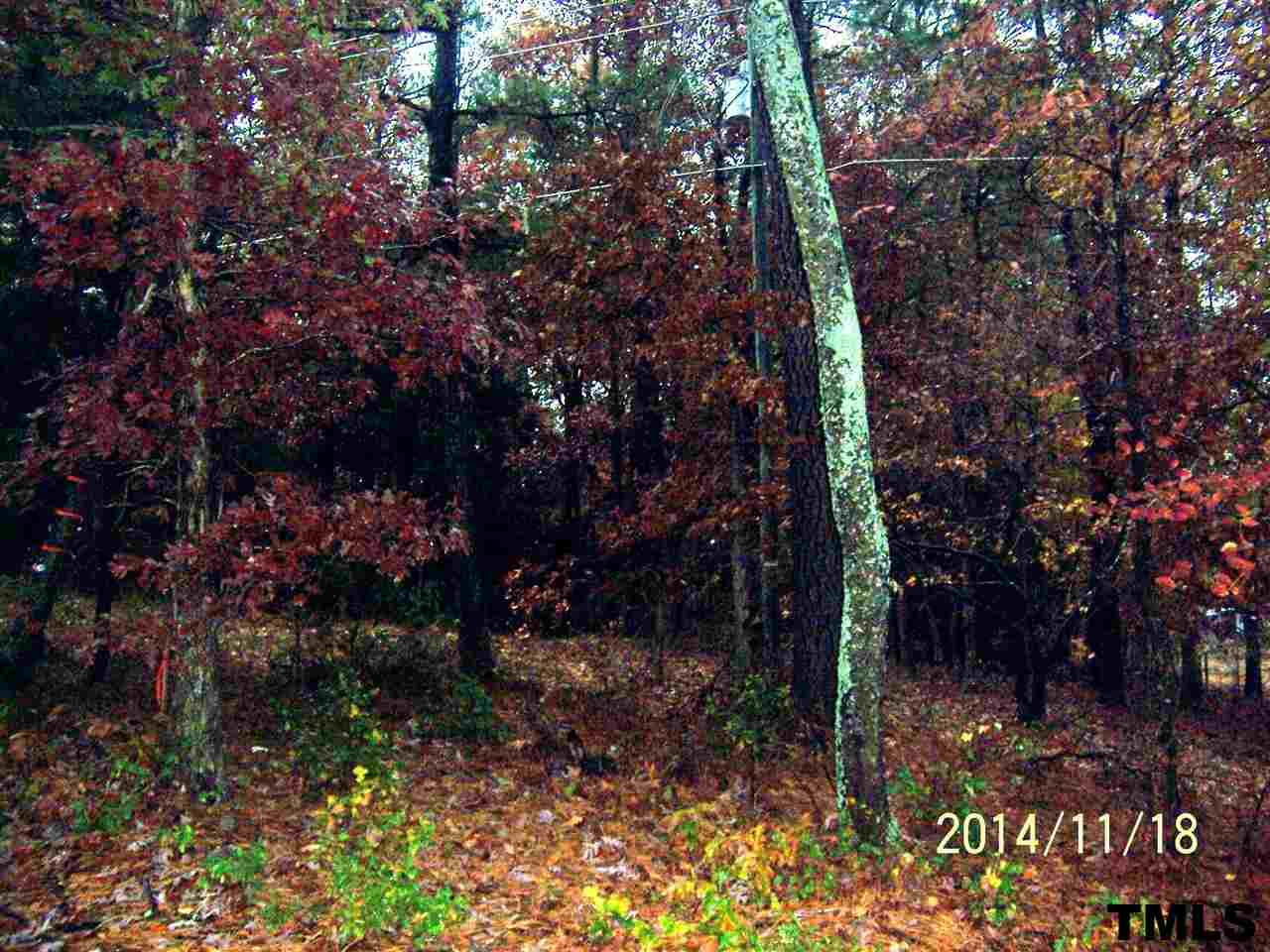 4200 Old Milburnie Road Raleigh, NC 27616 - Photo 2 of 2