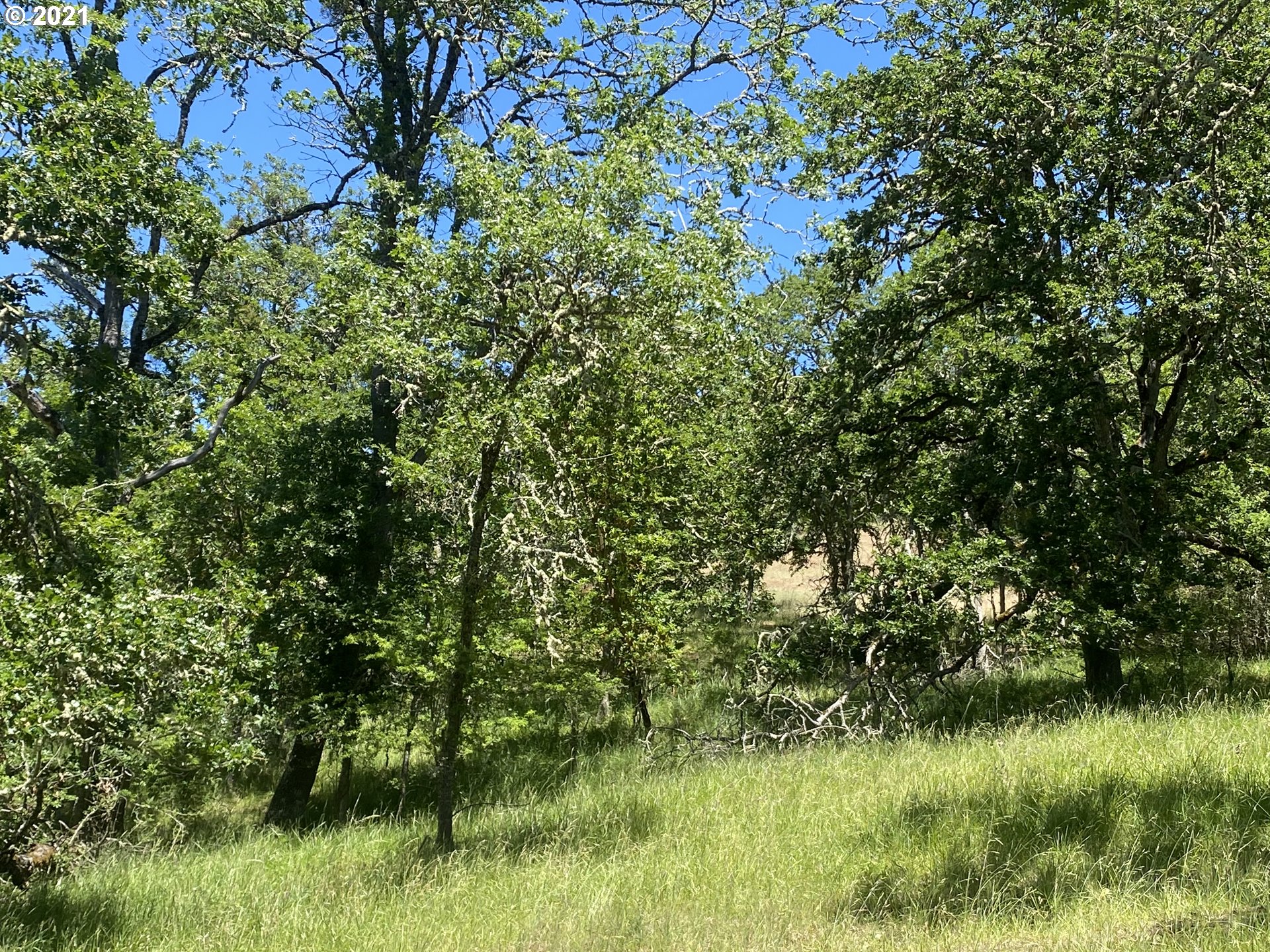 1452 Northeast Rocky Ridge Drive Roseburg, OR 97470 - Photo 3 of 7