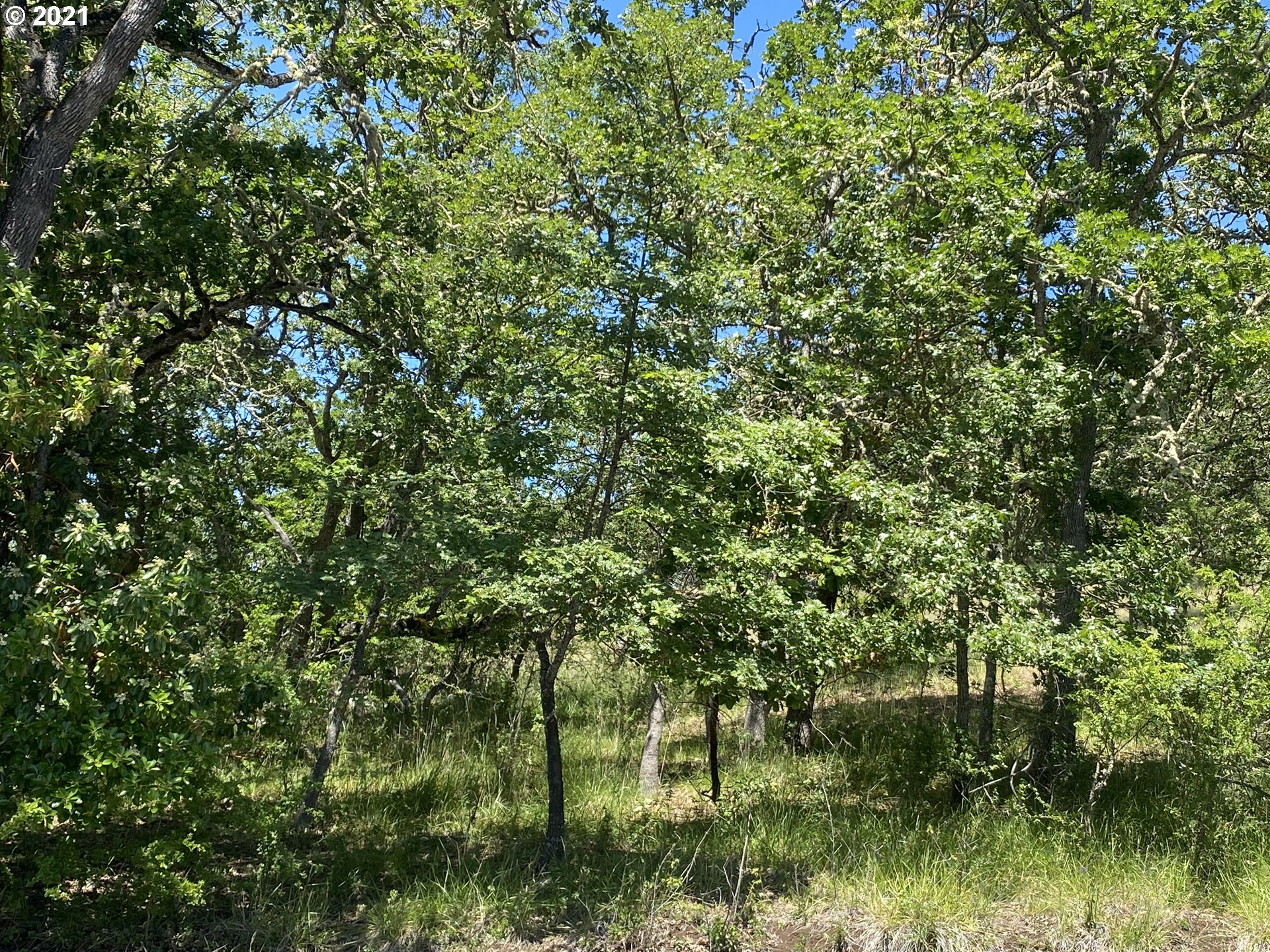 1452 Northeast Rocky Ridge Drive Roseburg, OR 97470 - Photo 5 of 7