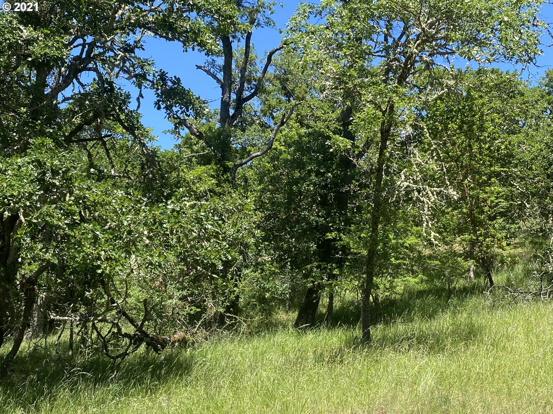 1452 Northeast Rocky Ridge Drive Roseburg, OR 97470 - Photo 6 of 7
