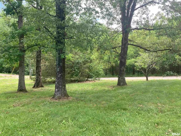 a view of a yard with a tree