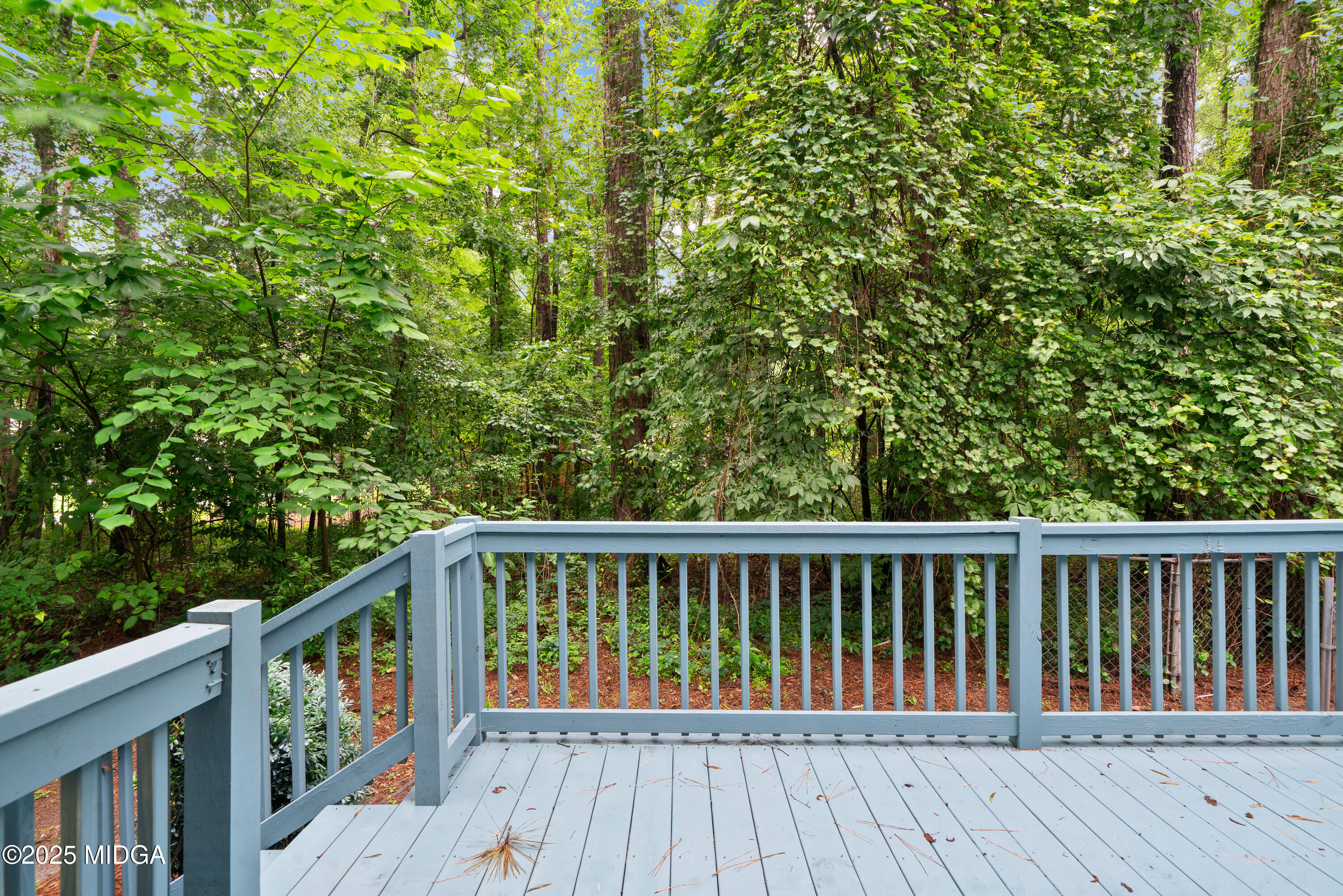 415 Lacebark Drive Macon, GA 31220 - Photo 29 of 35 415 Lacebark Dr-1847