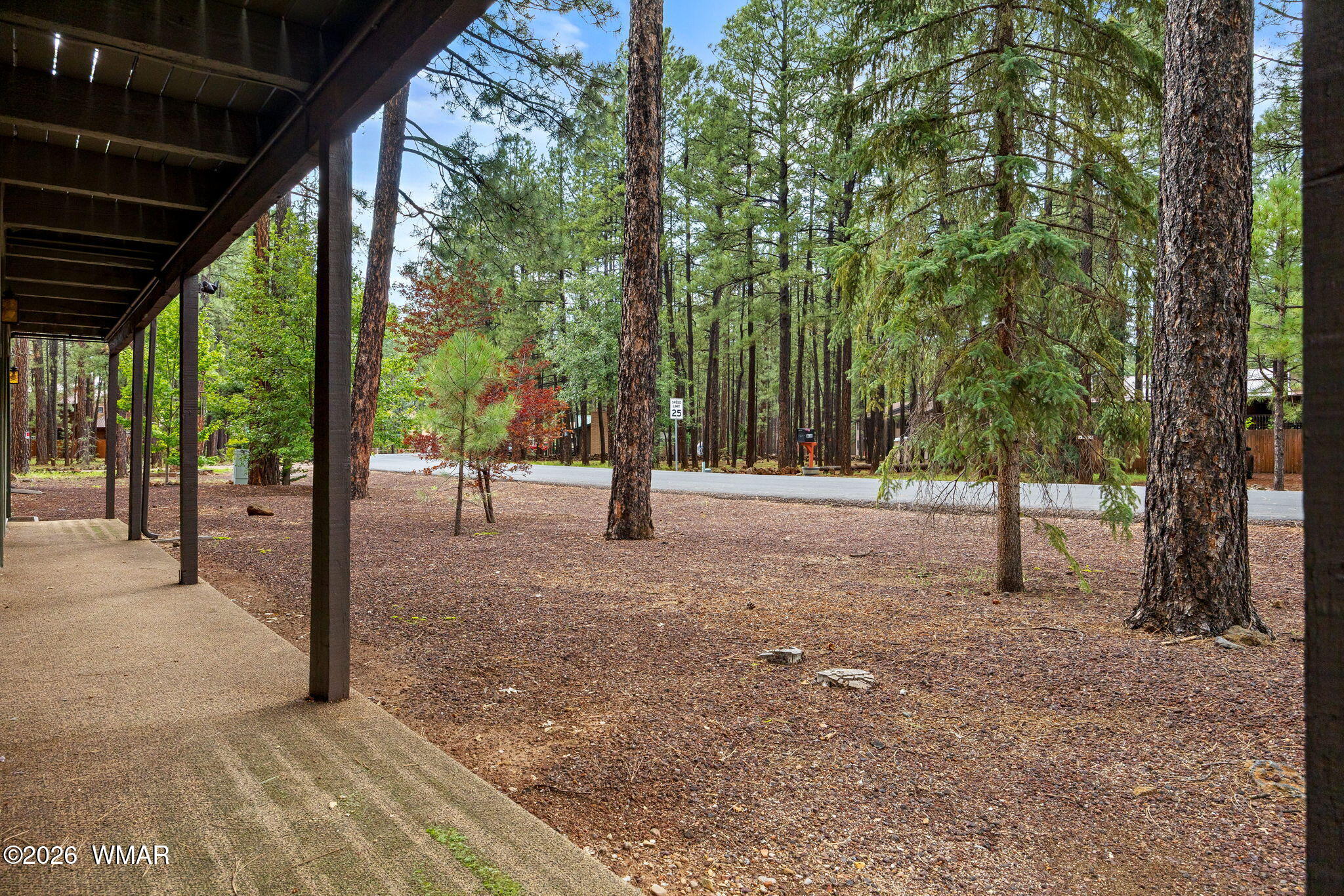 4455 Resort Loop Pinetop, AZ 85935 - Photo 28 of 36 Gallery Image 28