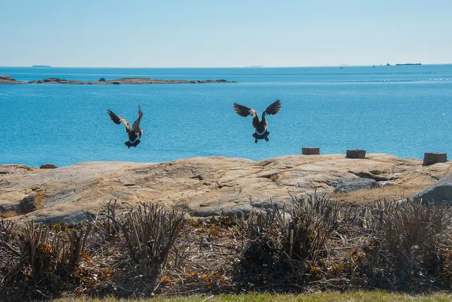 $548,500 | 1 Mansfield Grove Road, Unit 306, East Haven, CT 06512