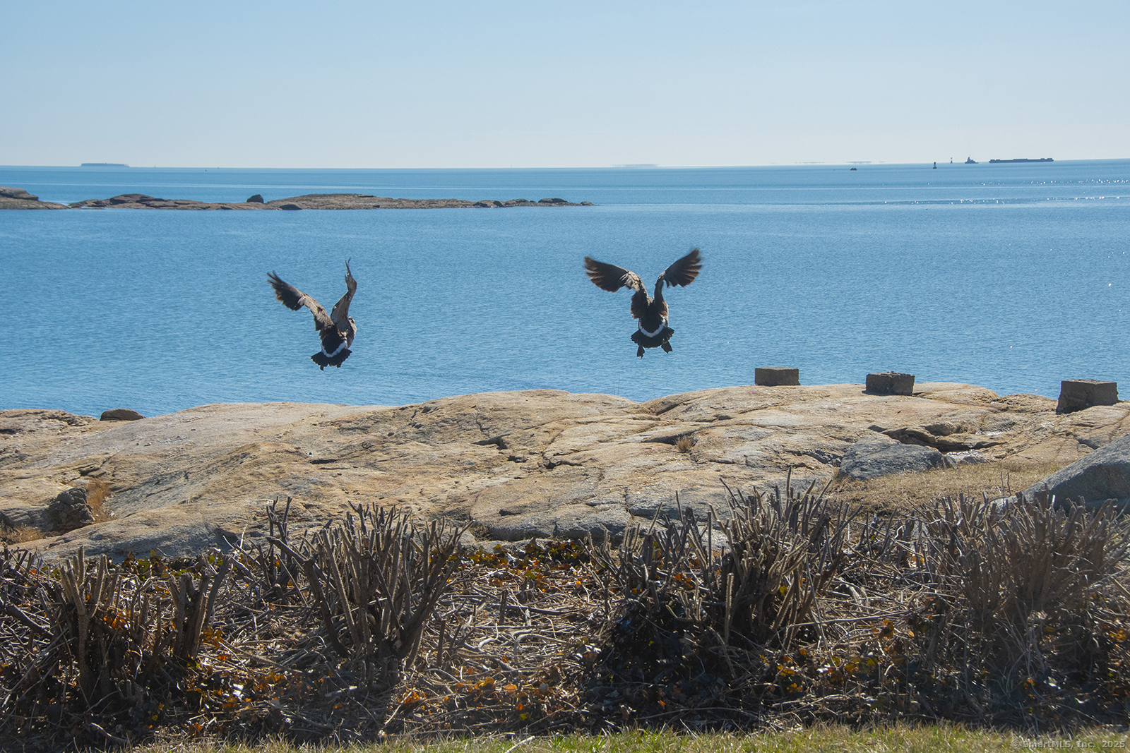 1 Mansfield Grove Road, Unit 306 East Haven, CT 06512 - Photo 28 of 31