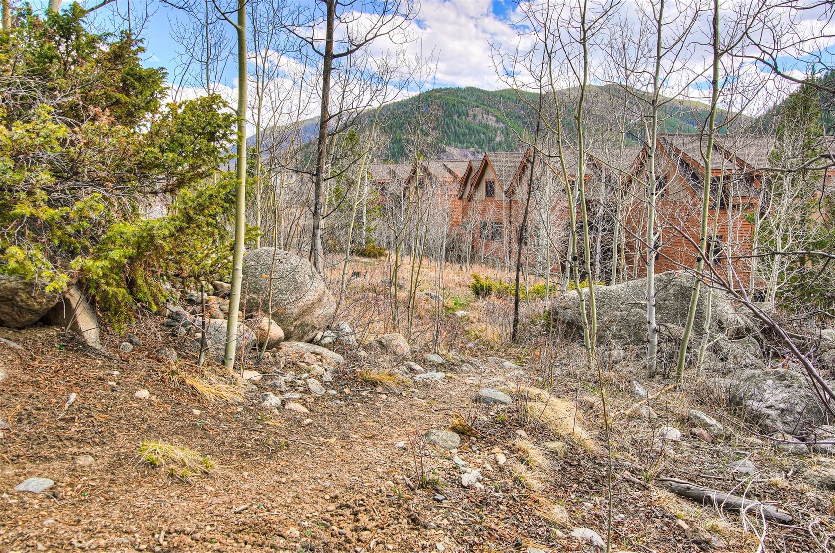 71 Antlers Gulch Road, Unit 303 Keystone, CO 80435 - Photo 34 of 35 a view of yard with green space