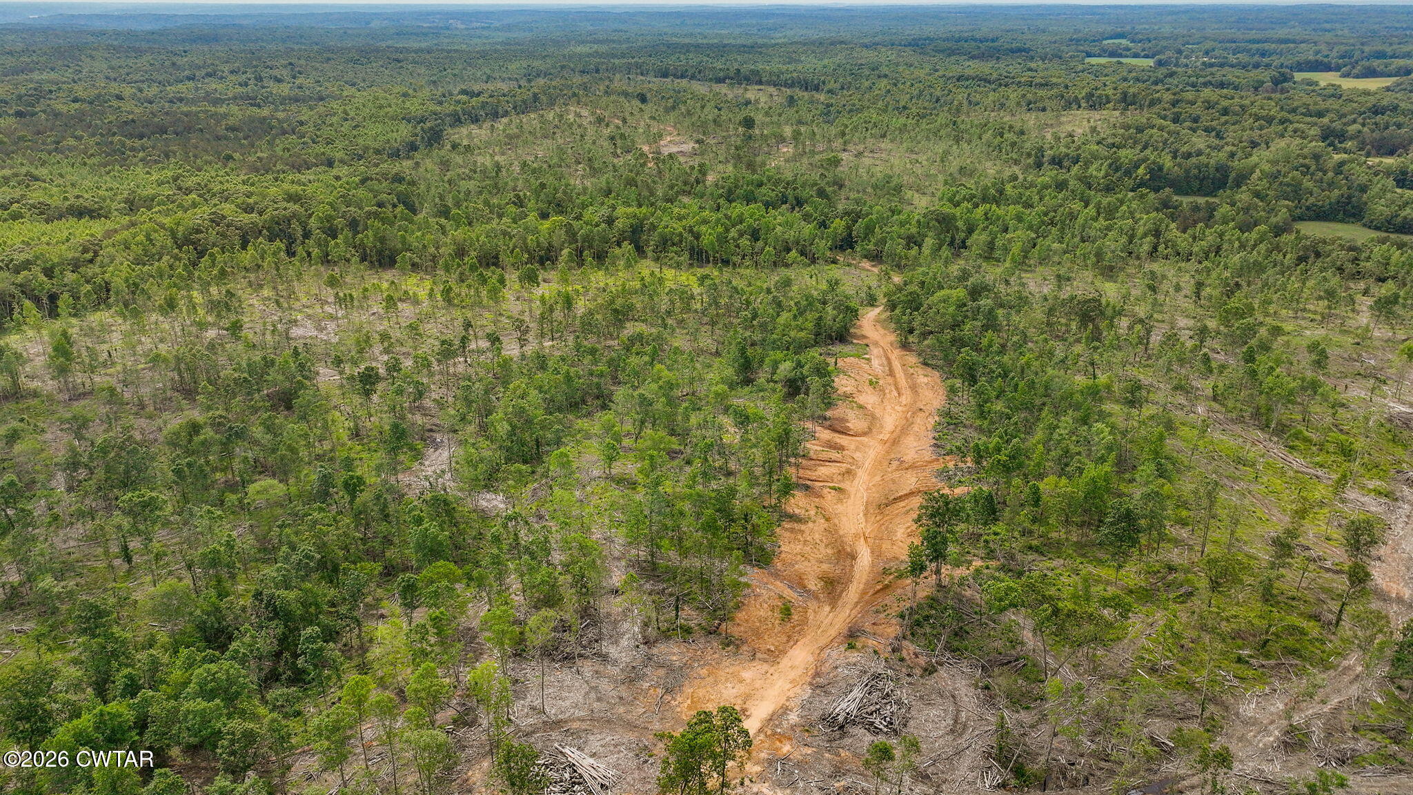 0 Wynn Road Big Sandy, TN 38221 - Photo 19 of 28 17-web-or-mls-DJI_0073