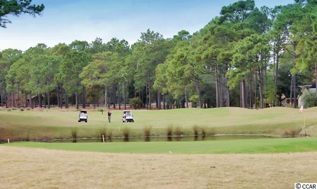 541 Kings Road Pawleys Island, SC 29585 - Photo 10 of 12 Gallery Image 10