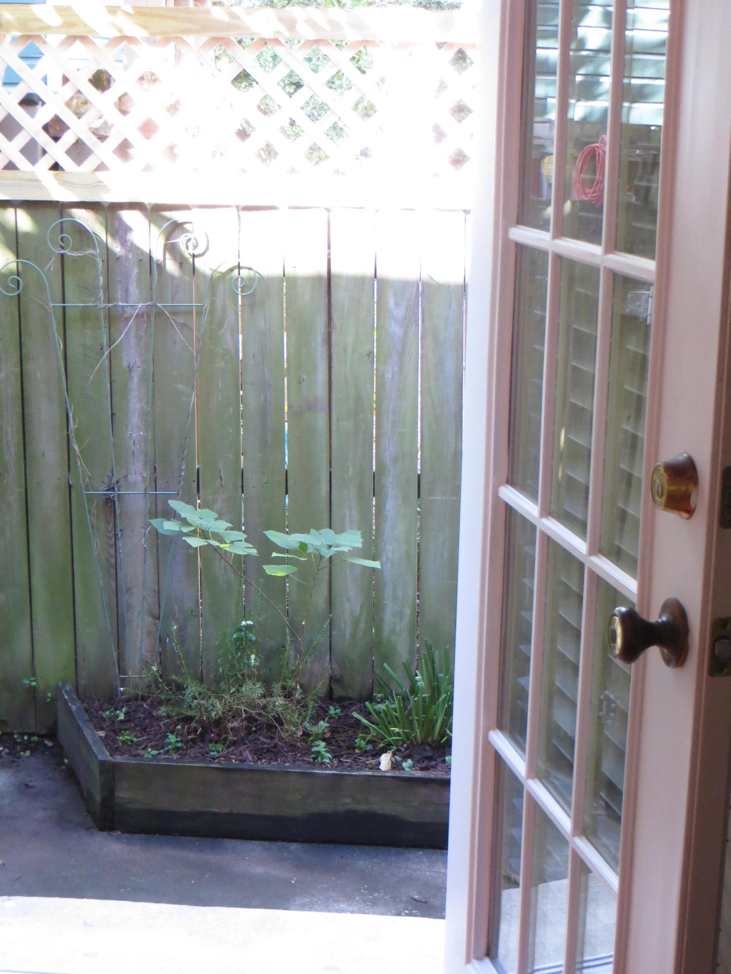 12 George Street, Unit B4 Charleston, SC 29401 - Photo 13 of 37 You own courtyard