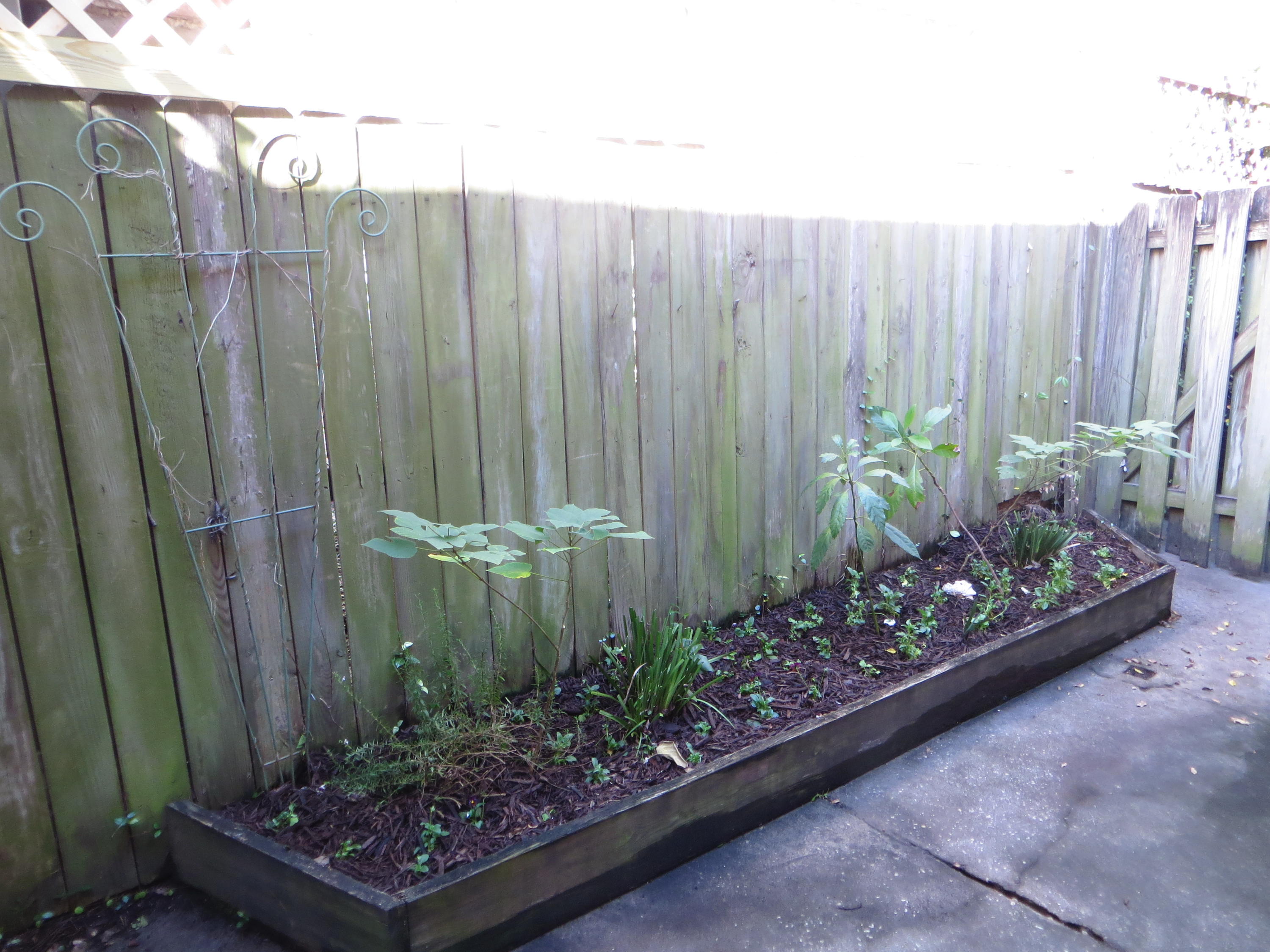 12 George Street, Unit B4 Charleston, SC 29401 - Photo 15 of 37 You own courtyard