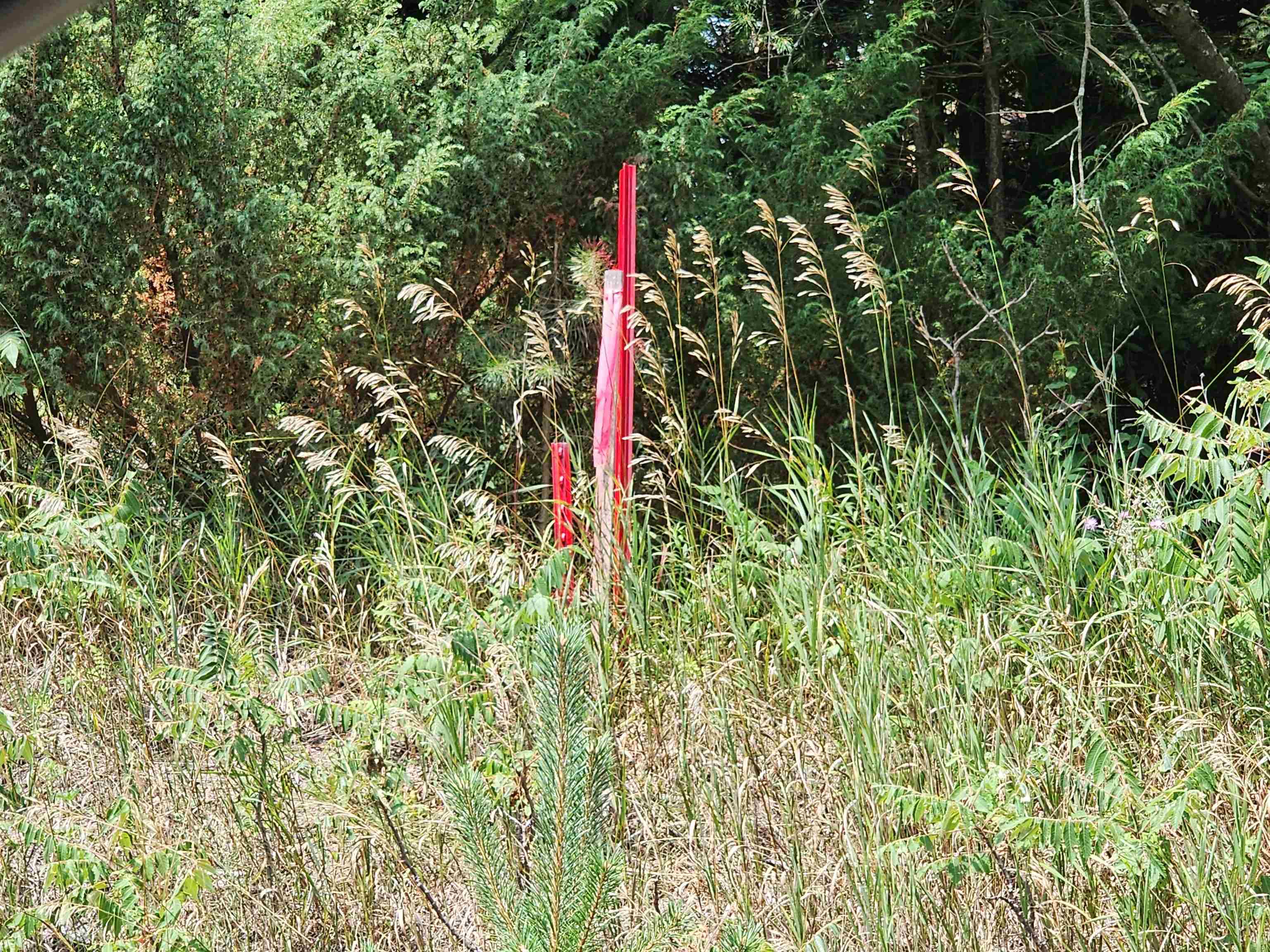 Parcel A East 18 1/2 Road Manton, MI 49663 - Photo 42 of 42 Gallery Image 42