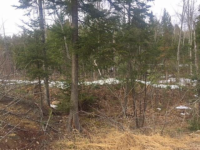 Tbd Tbd Coburn Road Carthage, ME 04224 - Photo 7 of 8 Photo