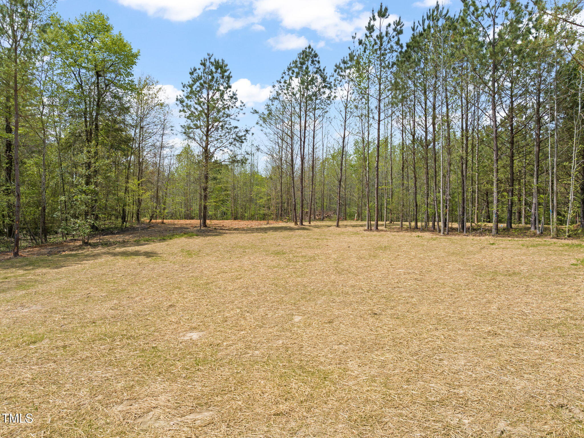 250 Pilot Ridge Road Zebulon, NC 27597 - Photo 37 of 43 a view of outdoor space with trees
