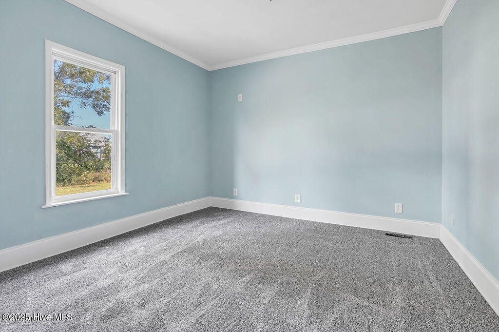 159 Shady Lane Road Willard, NC 28478 - Photo 21 of 26 20190923205835644688000000-o