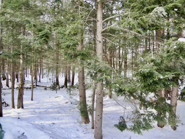 $195,000 | 344 Old Lake Shore Road, Unit 12, Gilford, NH 03249