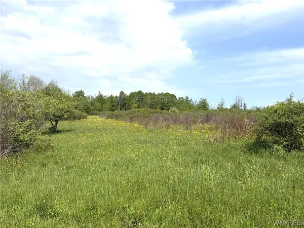 $118,000 | -vl Stinson Road, Arcade, NY 14009
